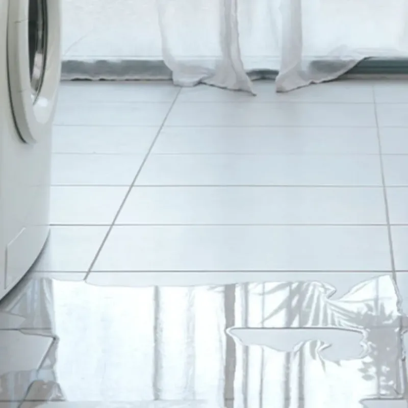 Appliance Leak Cleanup in Santee, CA